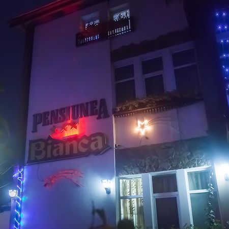 Pensiunea Bianca Ботошани Экстерьер фото