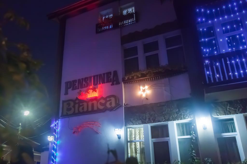 Pensiunea Bianca Ботошани Экстерьер фото