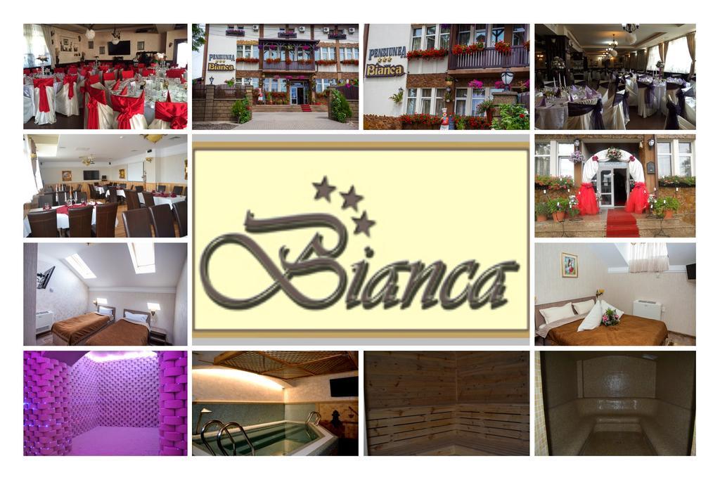 Pensiunea Bianca Ботошани Экстерьер фото